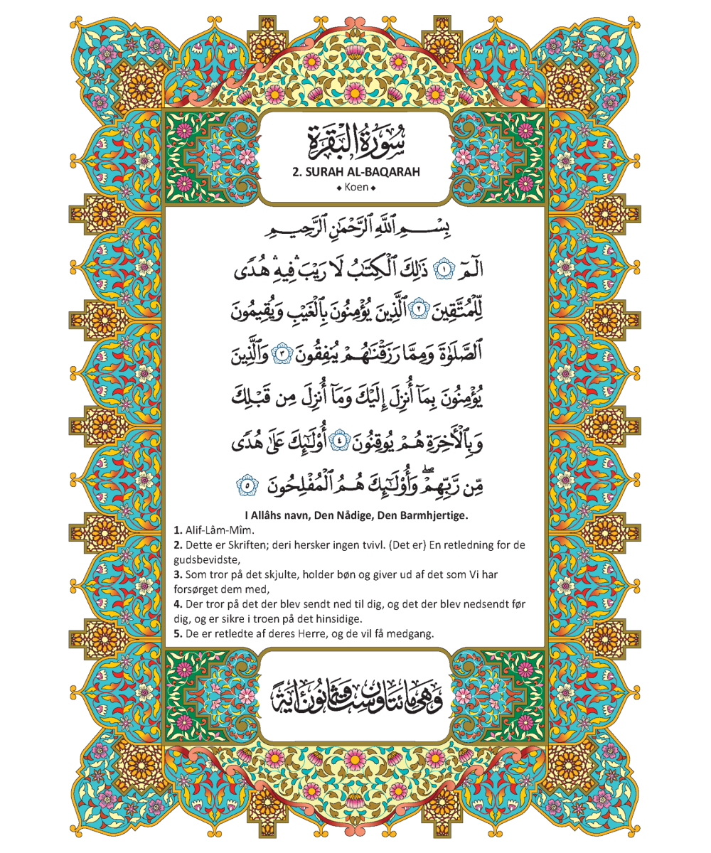 MUSHAF DENMARK - Image 4