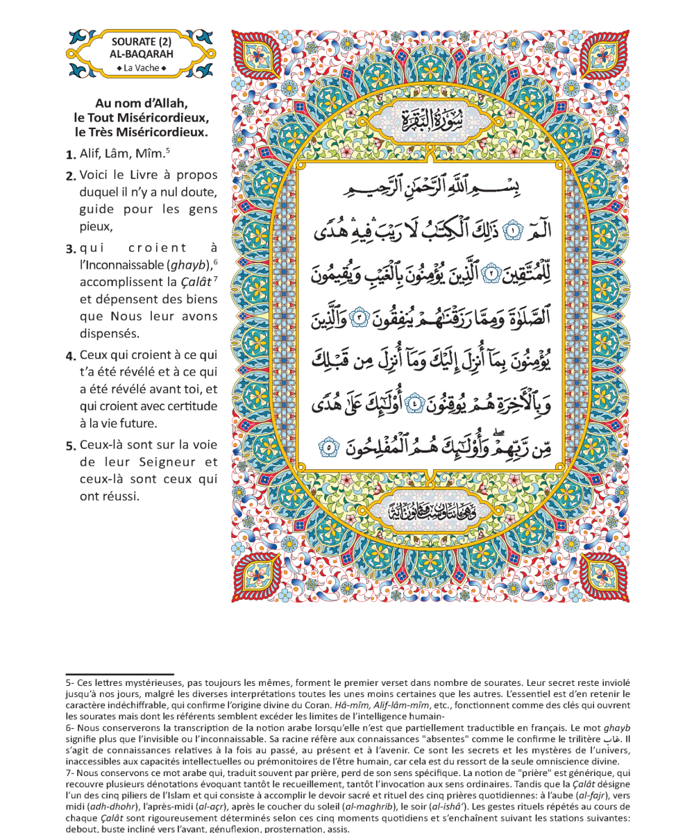MUSHAF FRANCE - Image 4