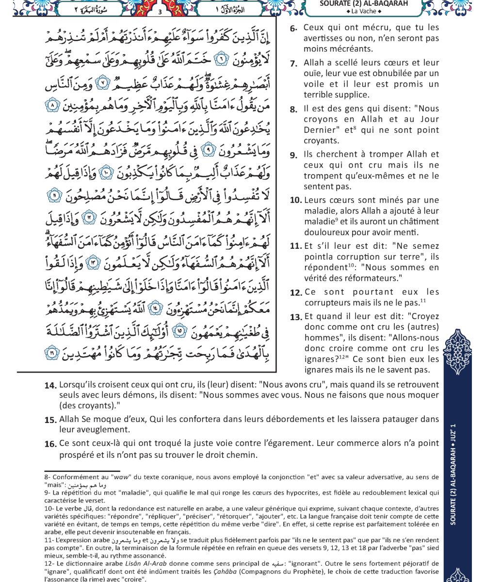 MUSHAF FRANCE - Image 5
